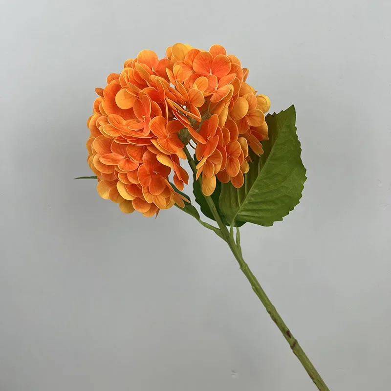 Miniature 8
