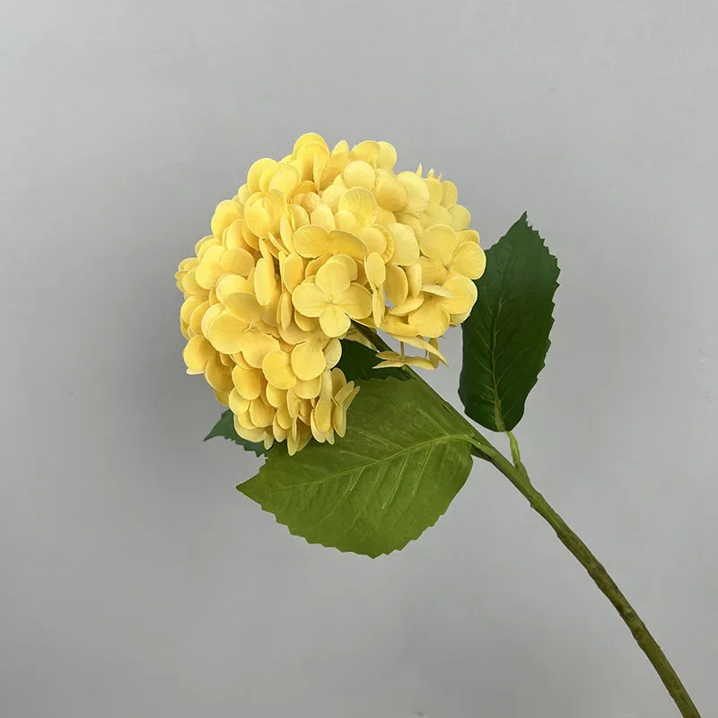 Miniature 9