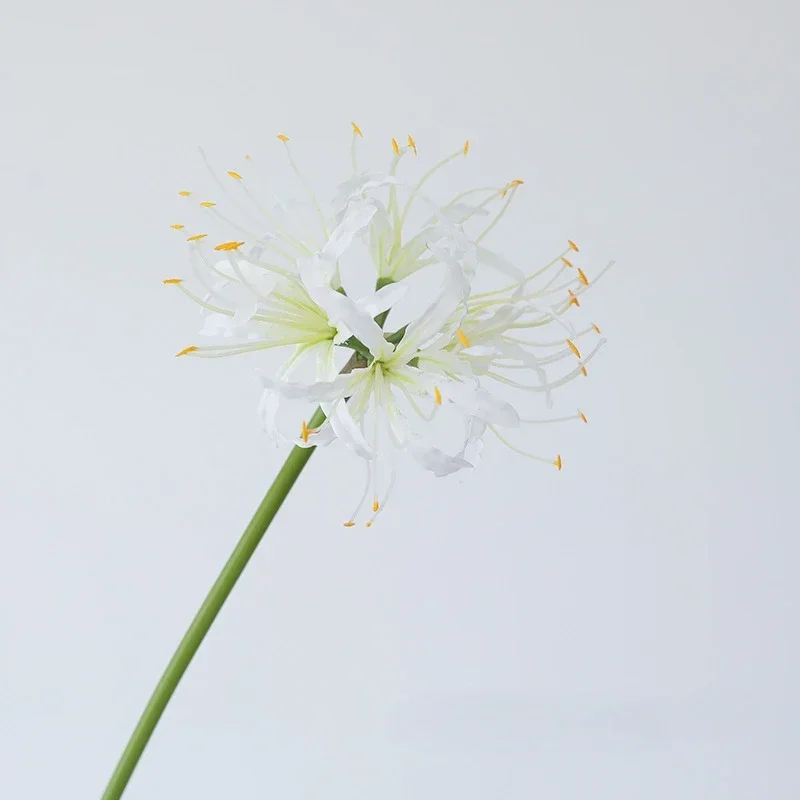 Miniature 11