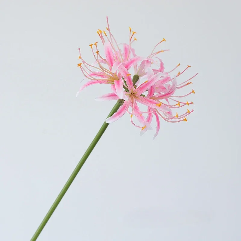Miniature 12