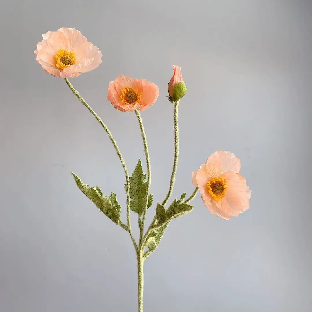 Miniature 10