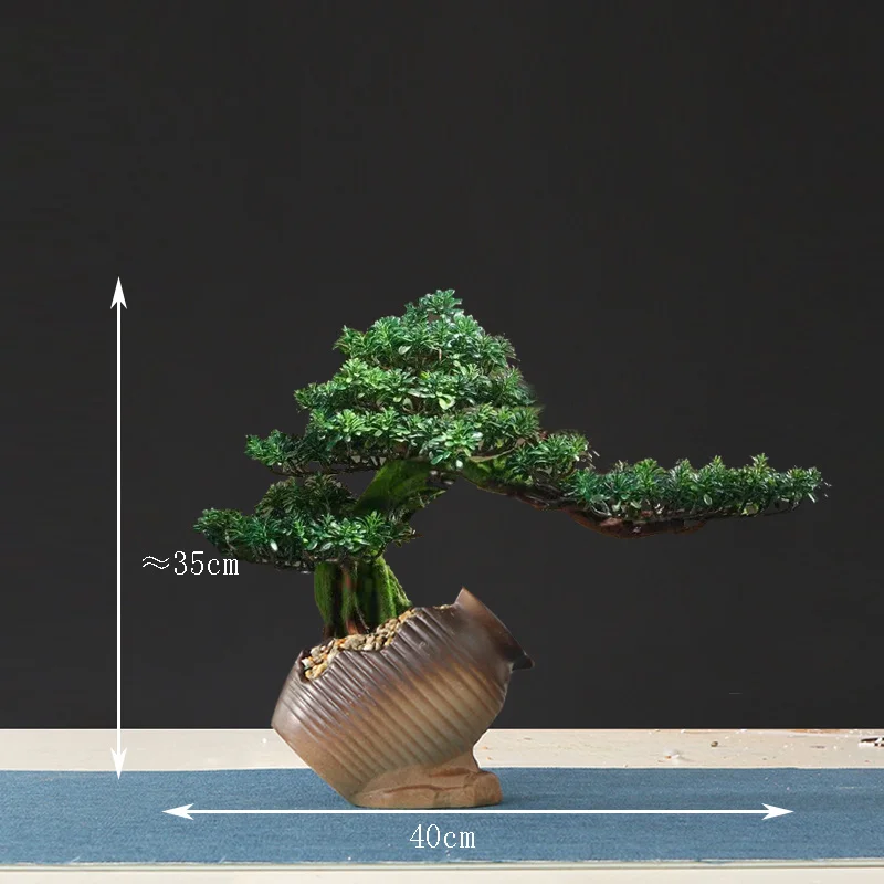 Miniature 15