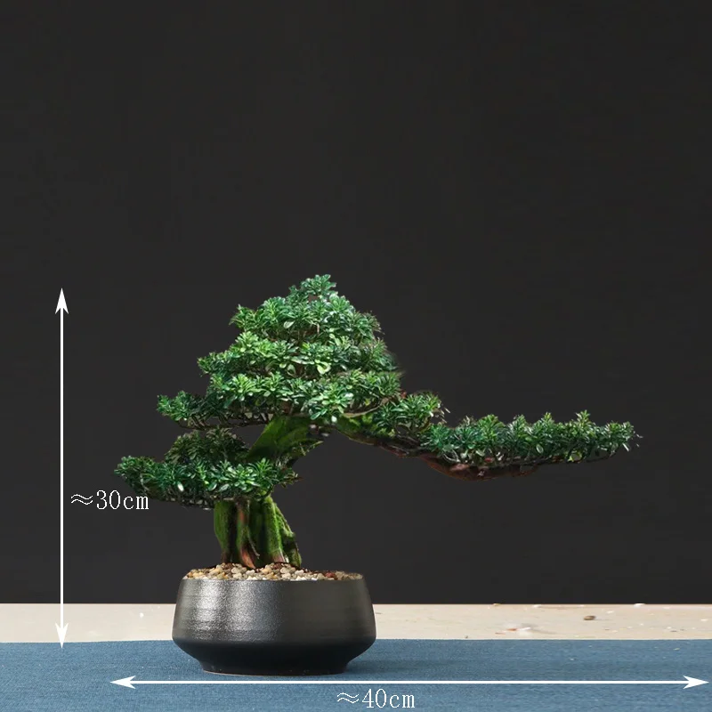 Miniature 33