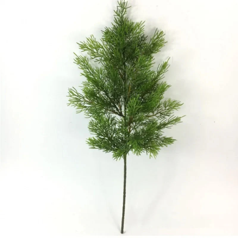 Miniature 5