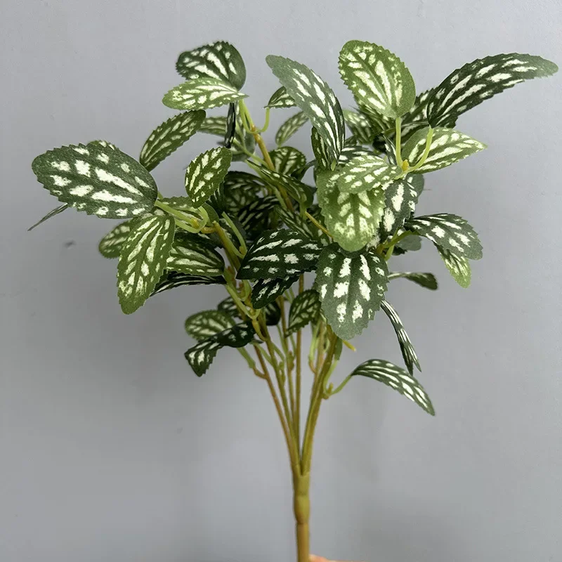 Miniature 7