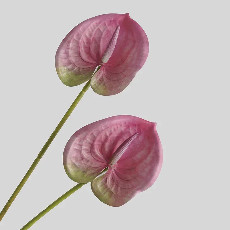 Miniature 10