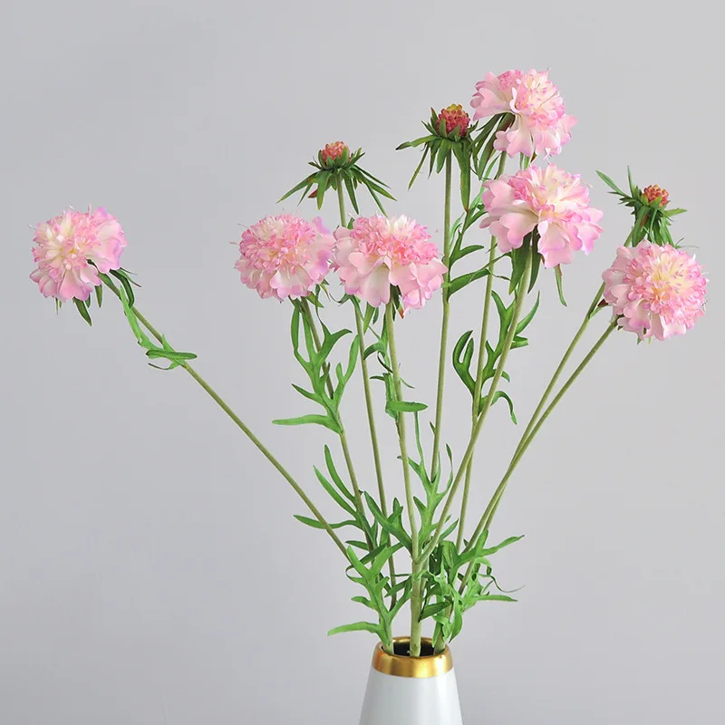 Miniature 3