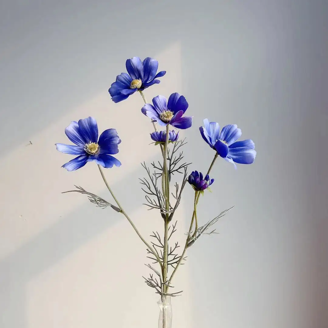 Miniature 14