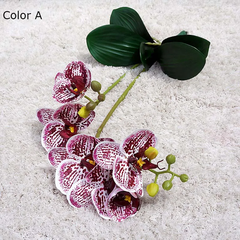 Miniature 4