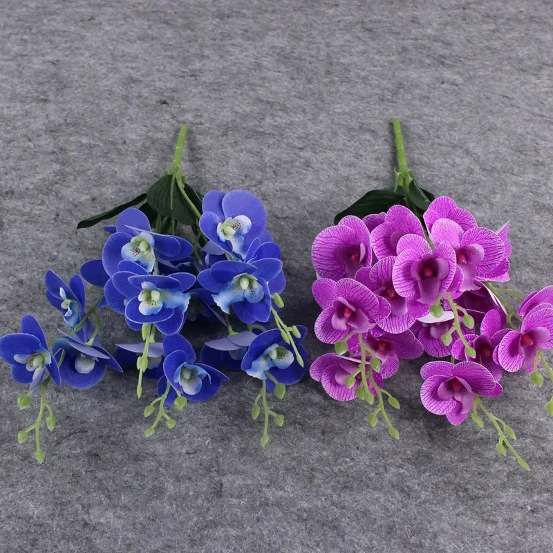 Miniature 5