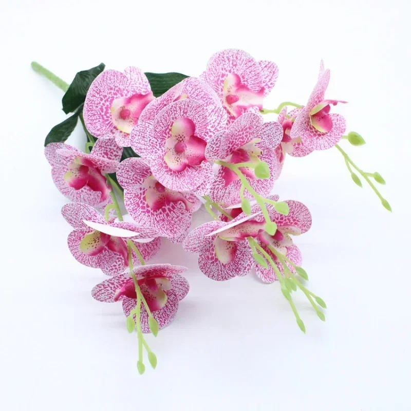 Miniature 8