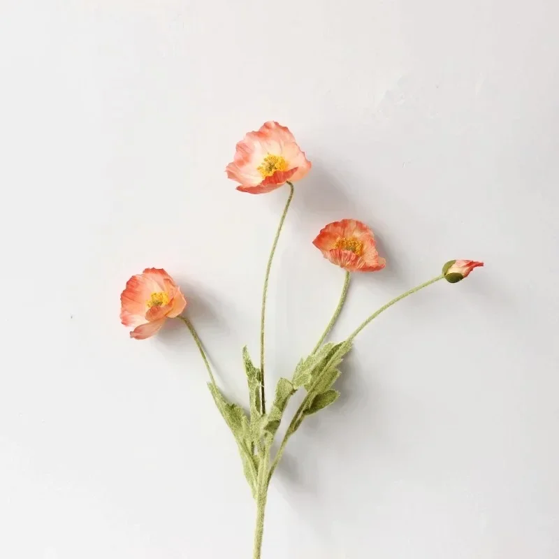 Miniature 12