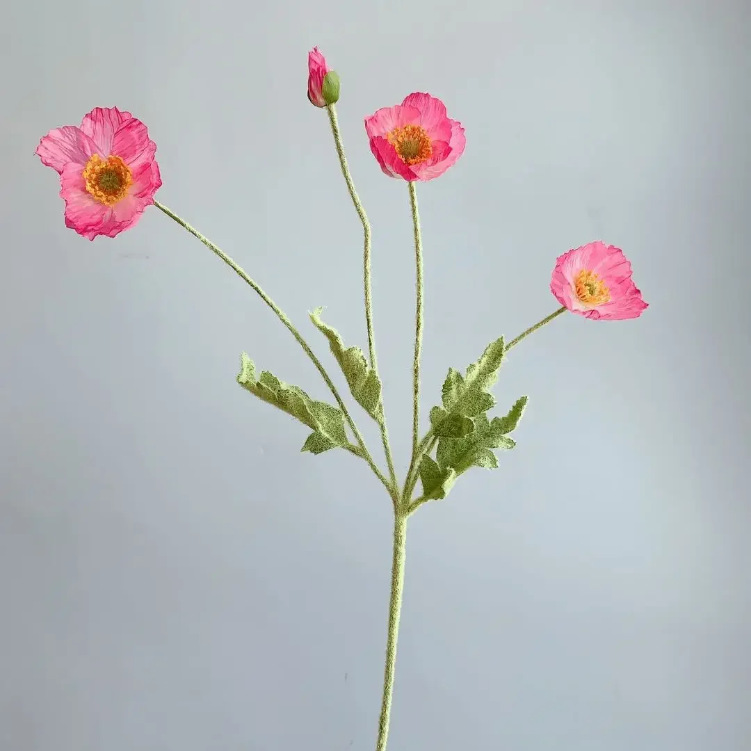 Miniature 14