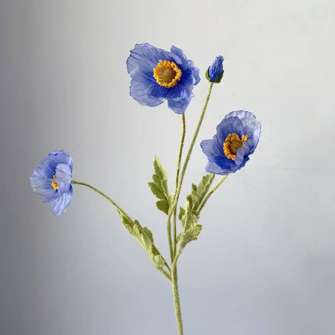 Miniature 19