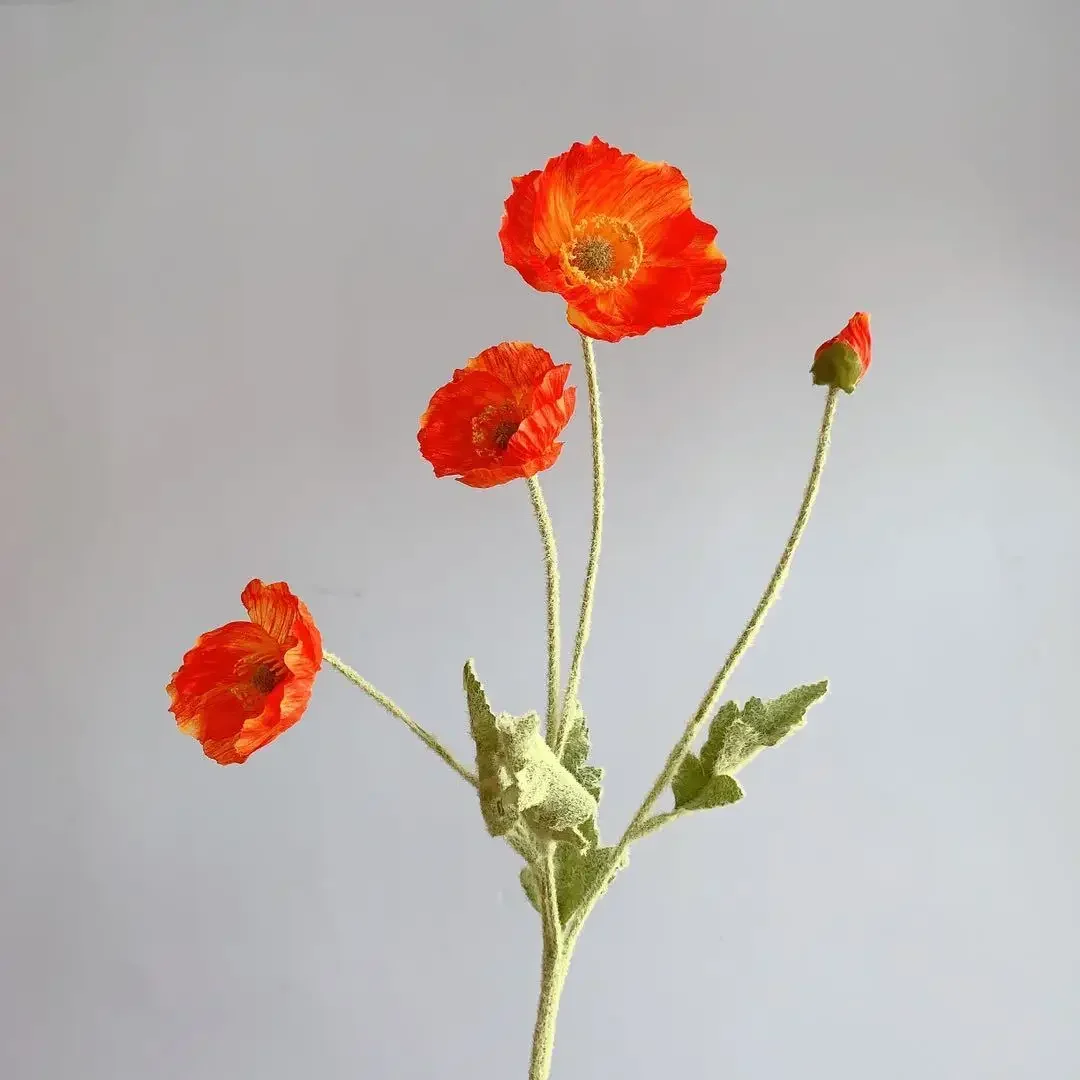 Miniature 21