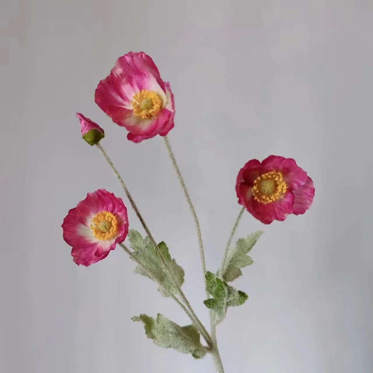 Miniature 29