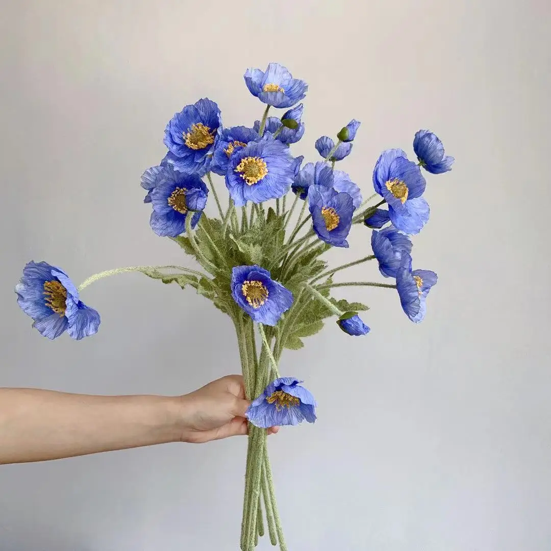 Miniature 5