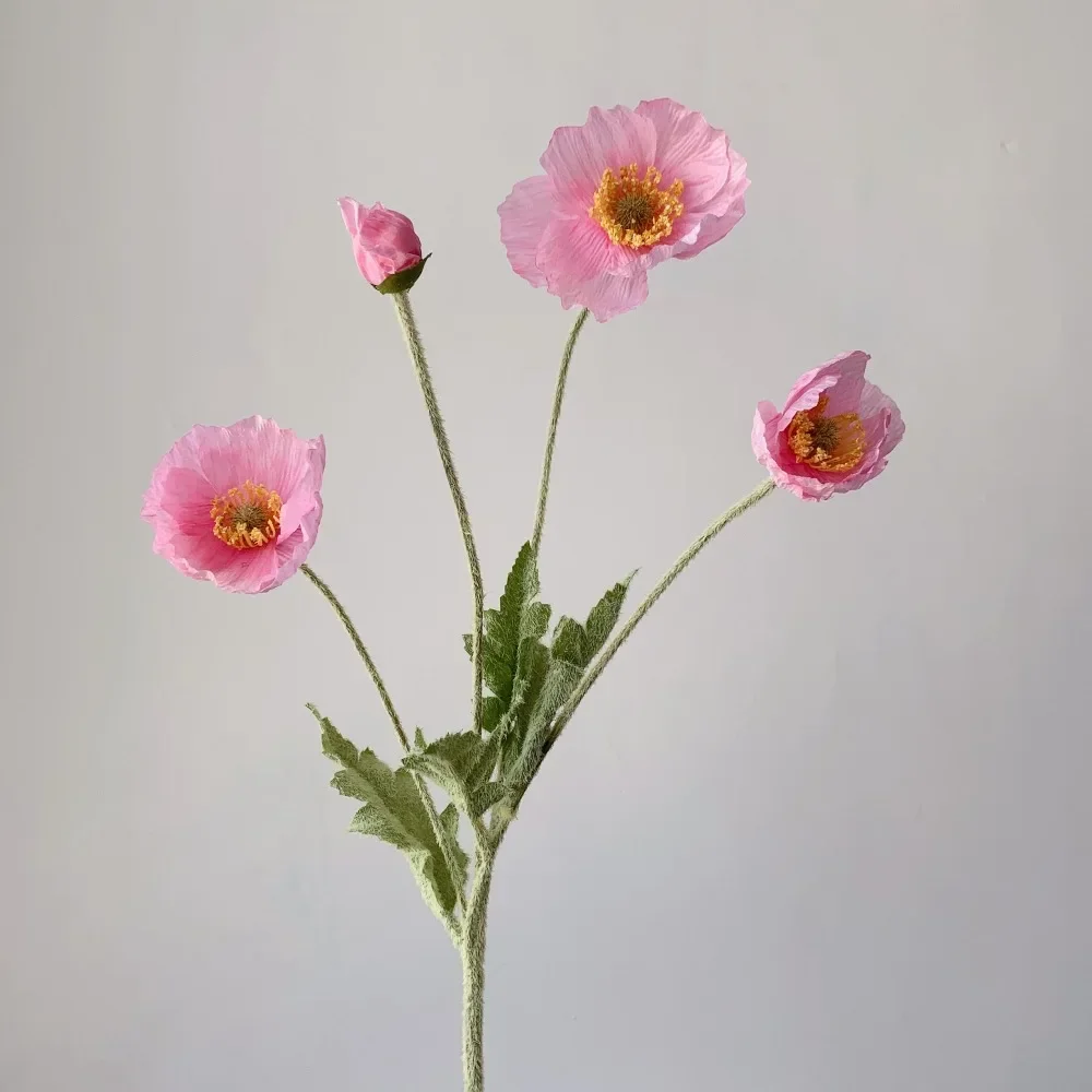 Miniature 8