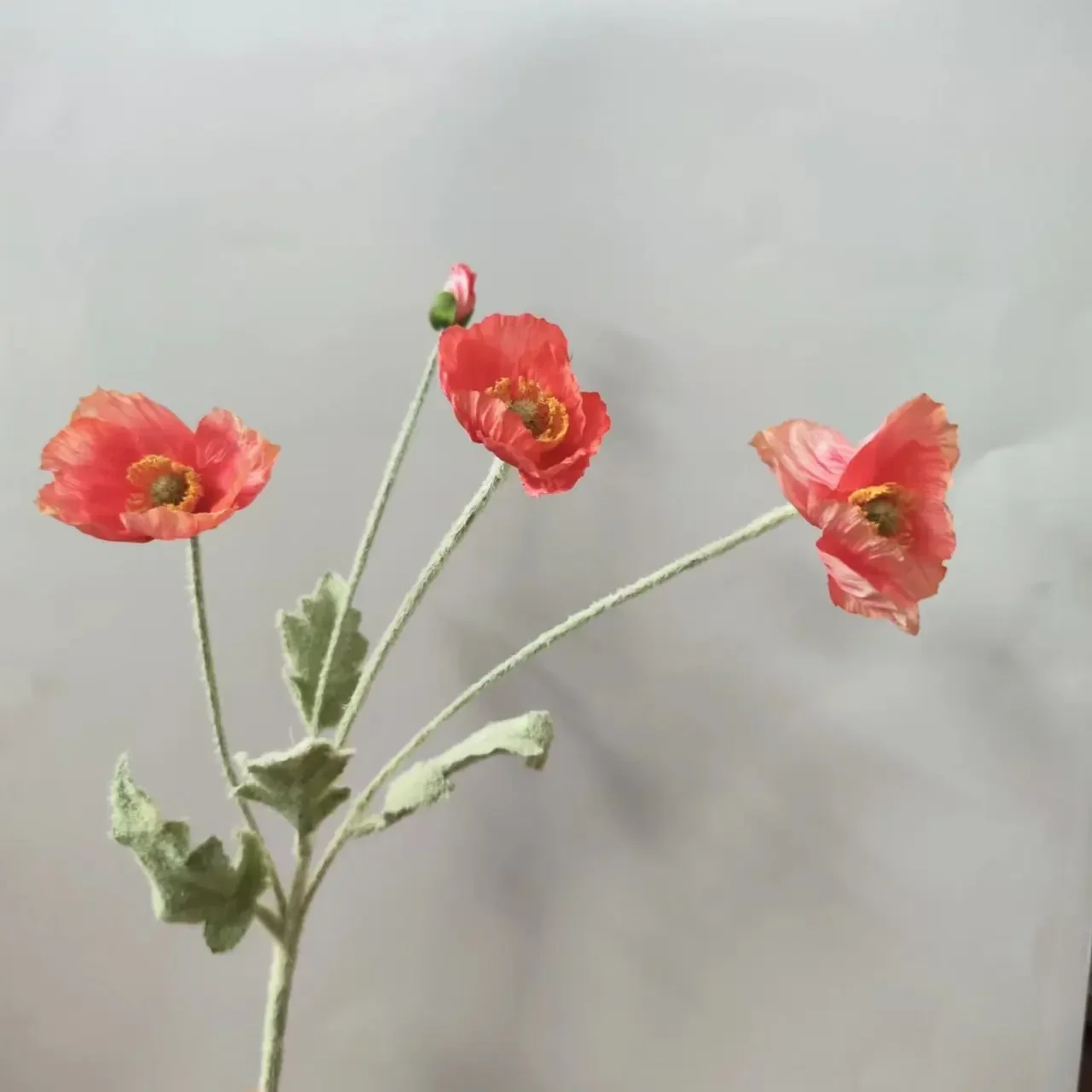 Miniature 9