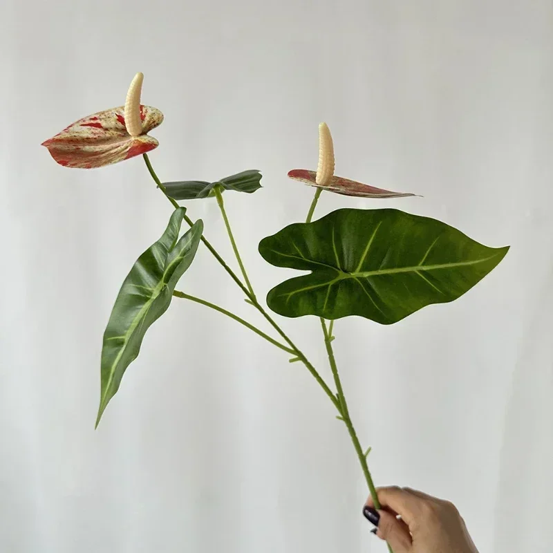 Miniature 10