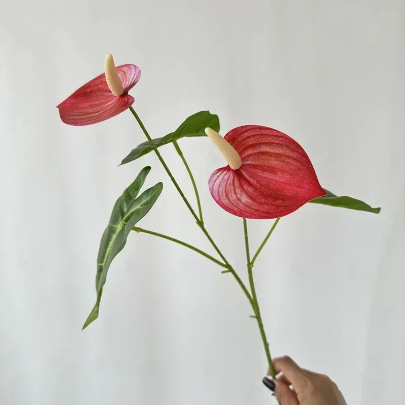 Miniature 12