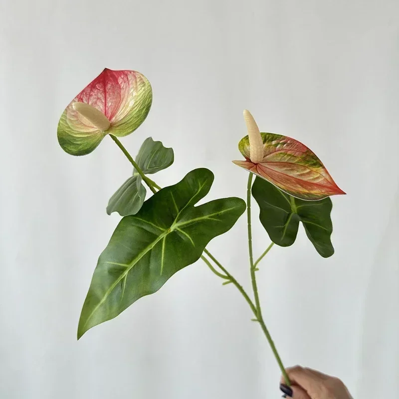 Miniature 13