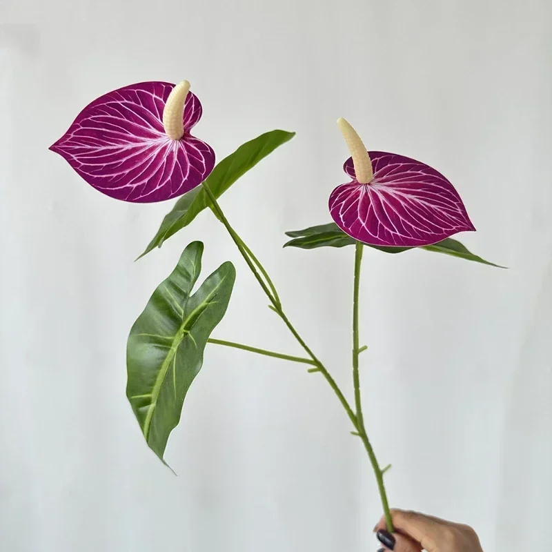 Miniature 15