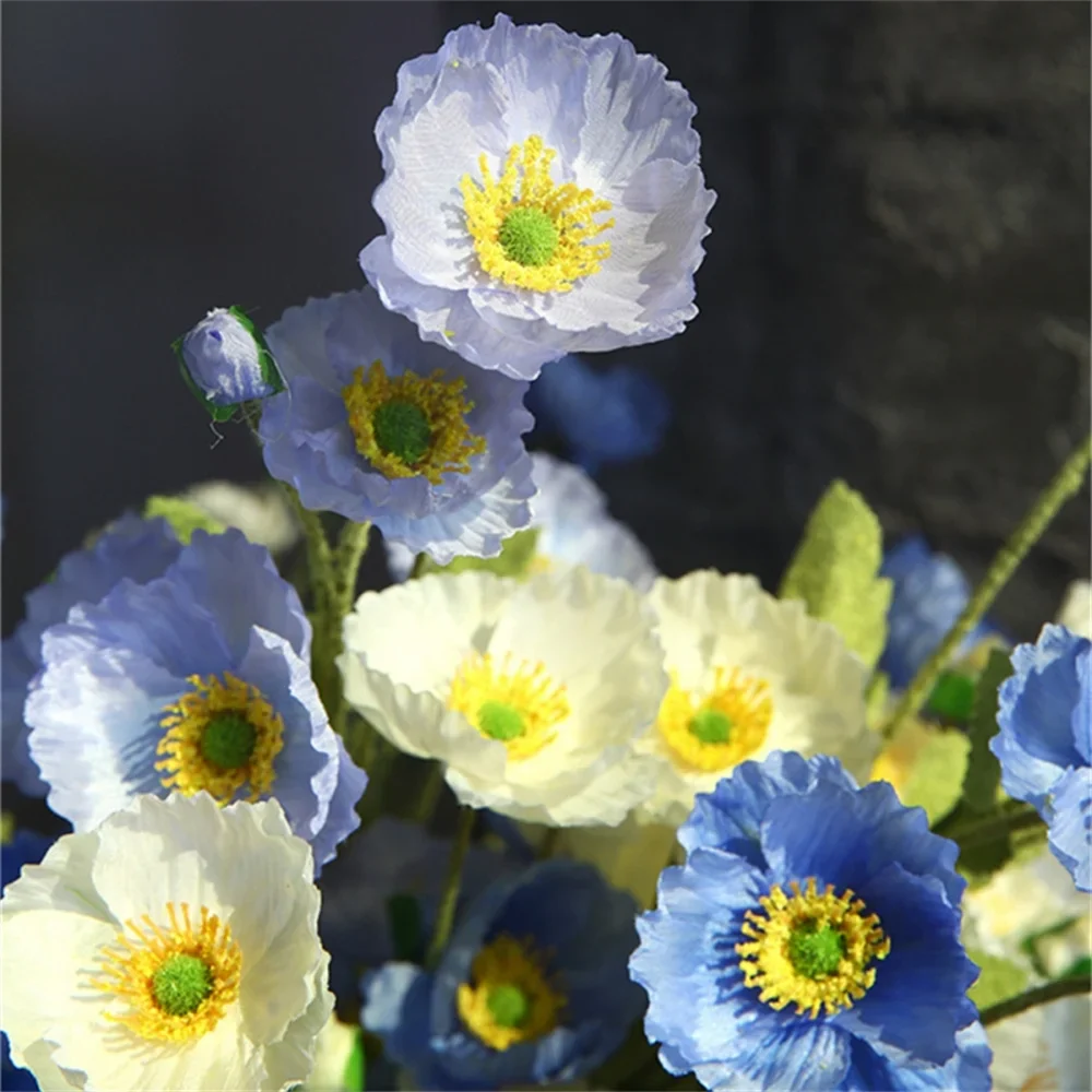 Miniature 2