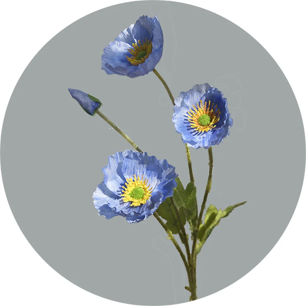 Miniature 7