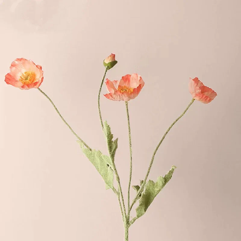 Miniature 5