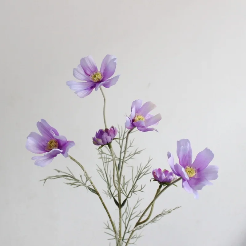 Miniature 10