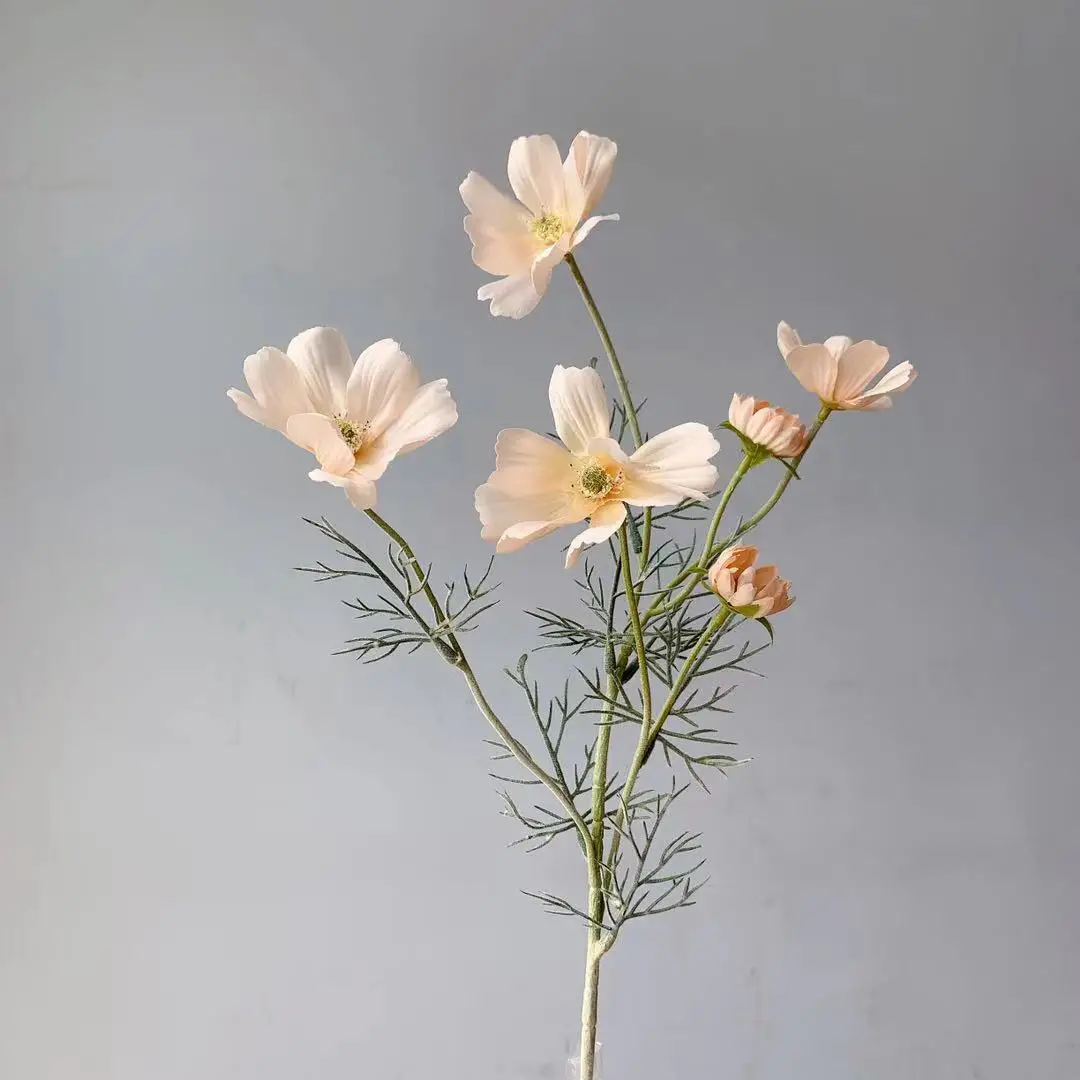 Miniature 16