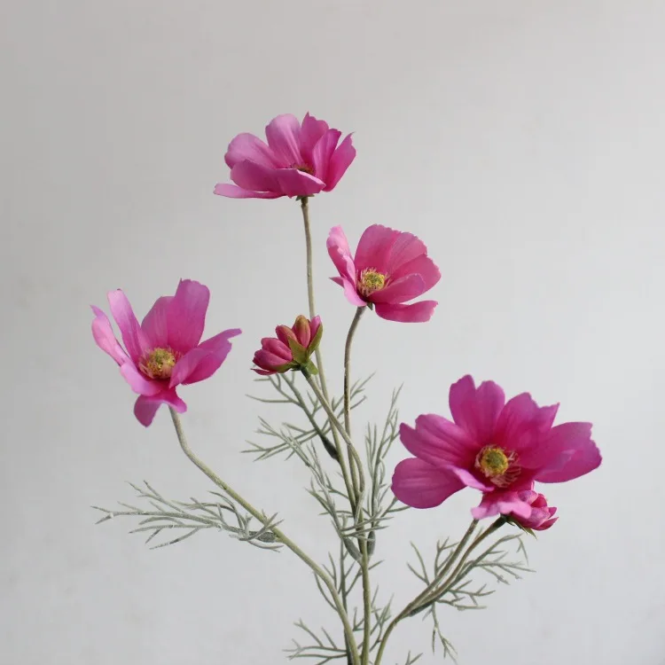 Miniature 23