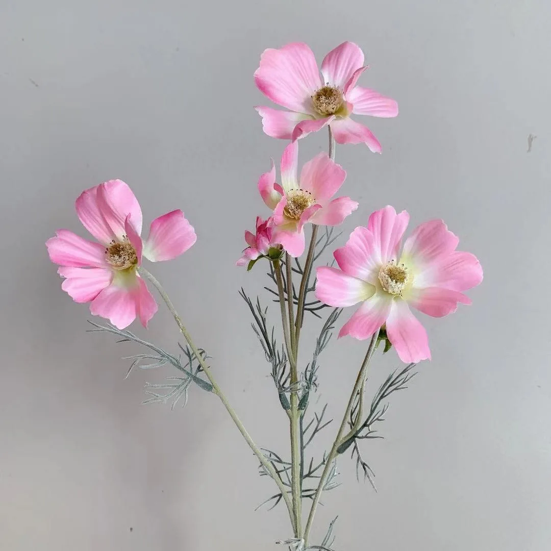 Miniature 7