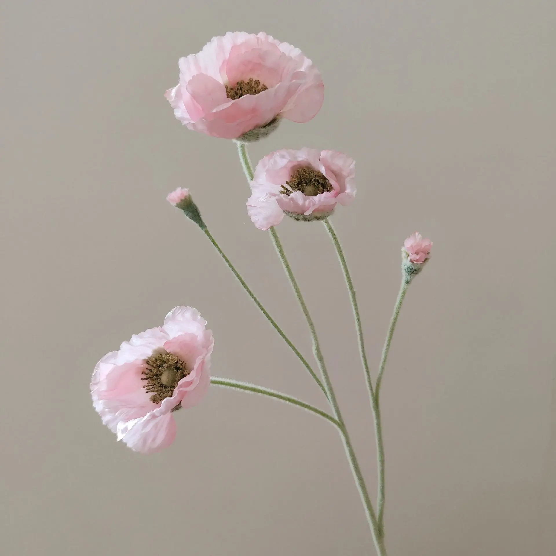 Miniature 11