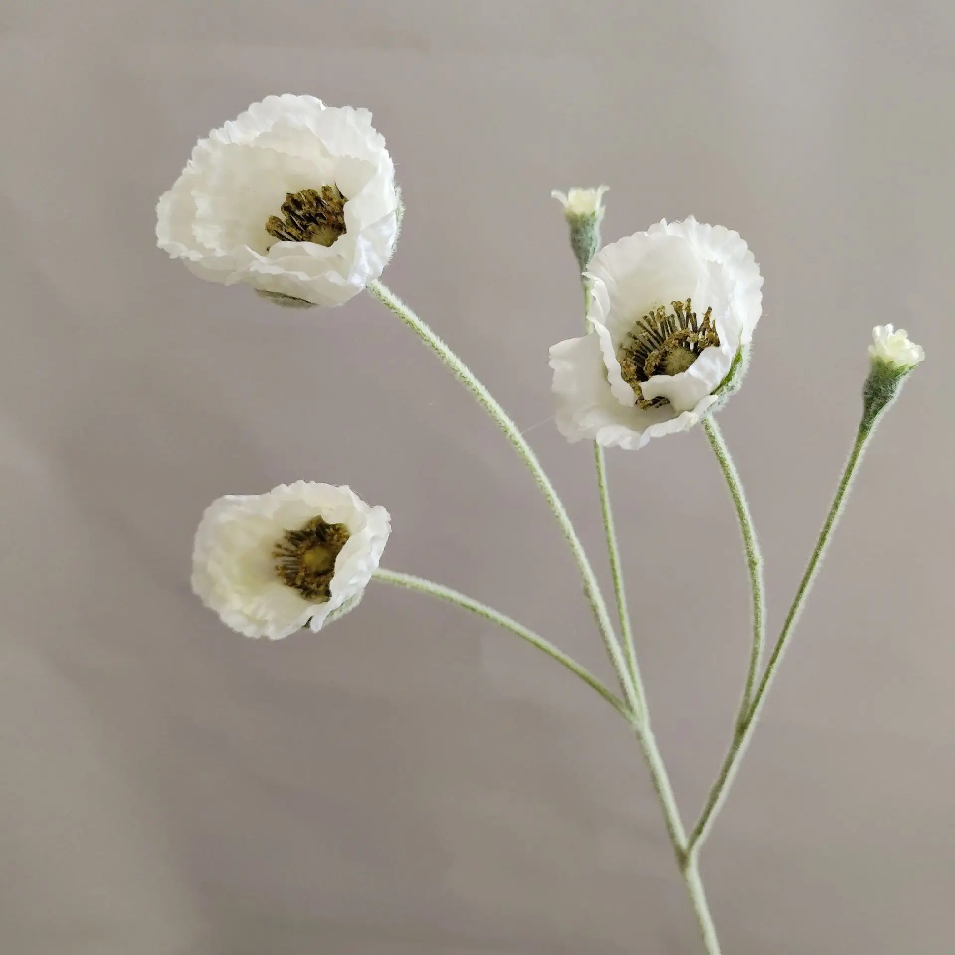 Miniature 12