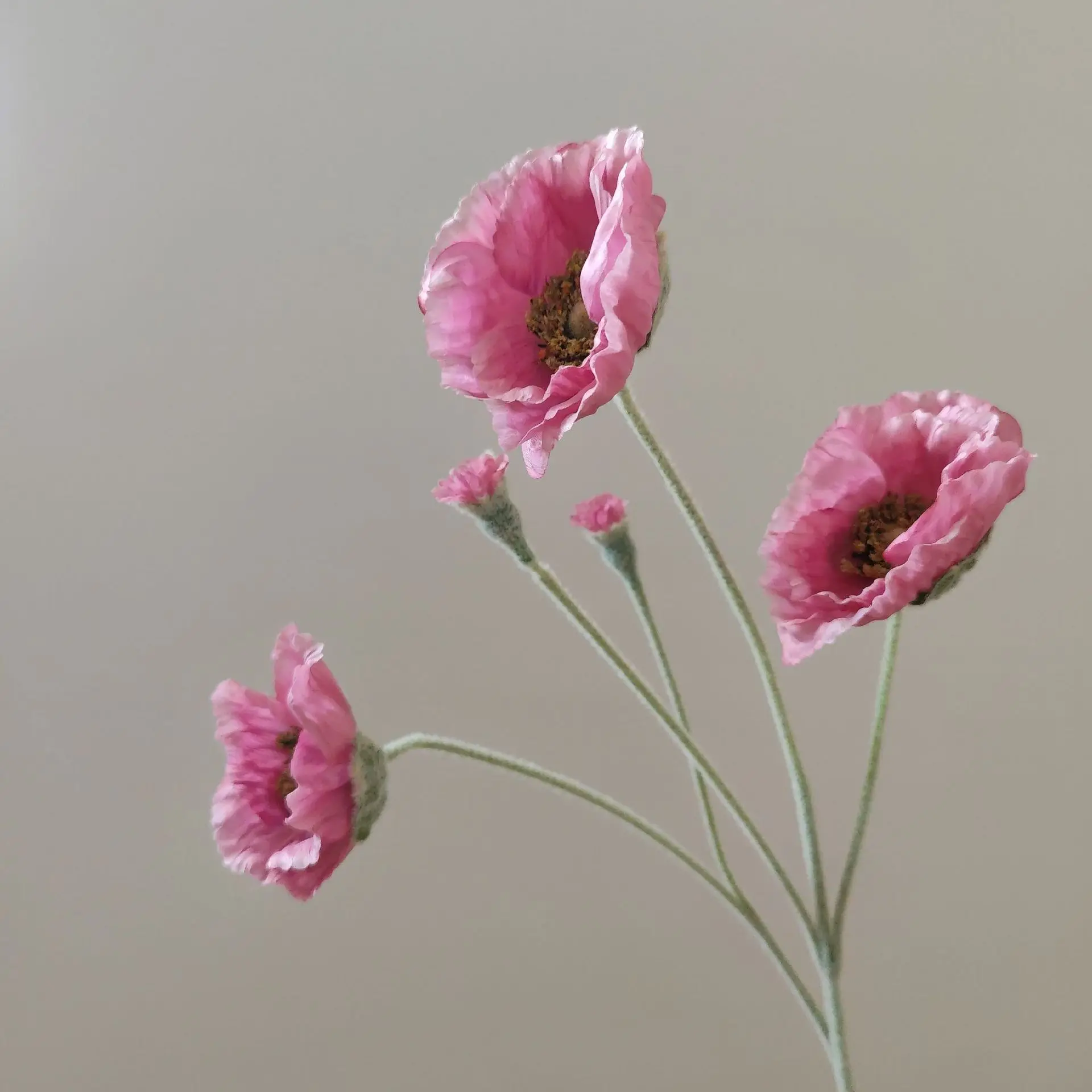 Miniature 13