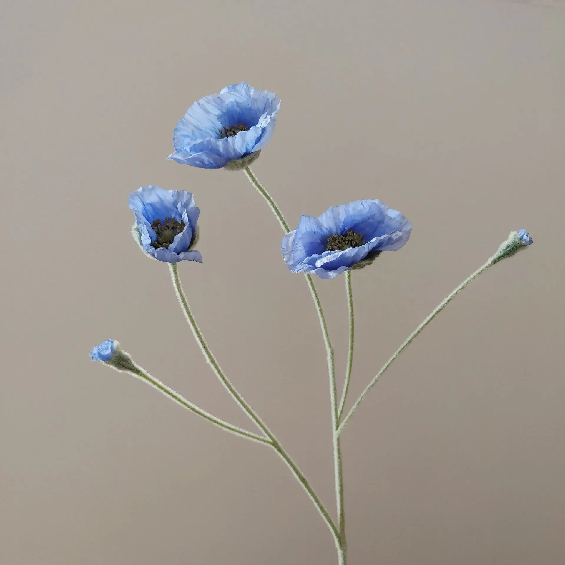 Miniature 14