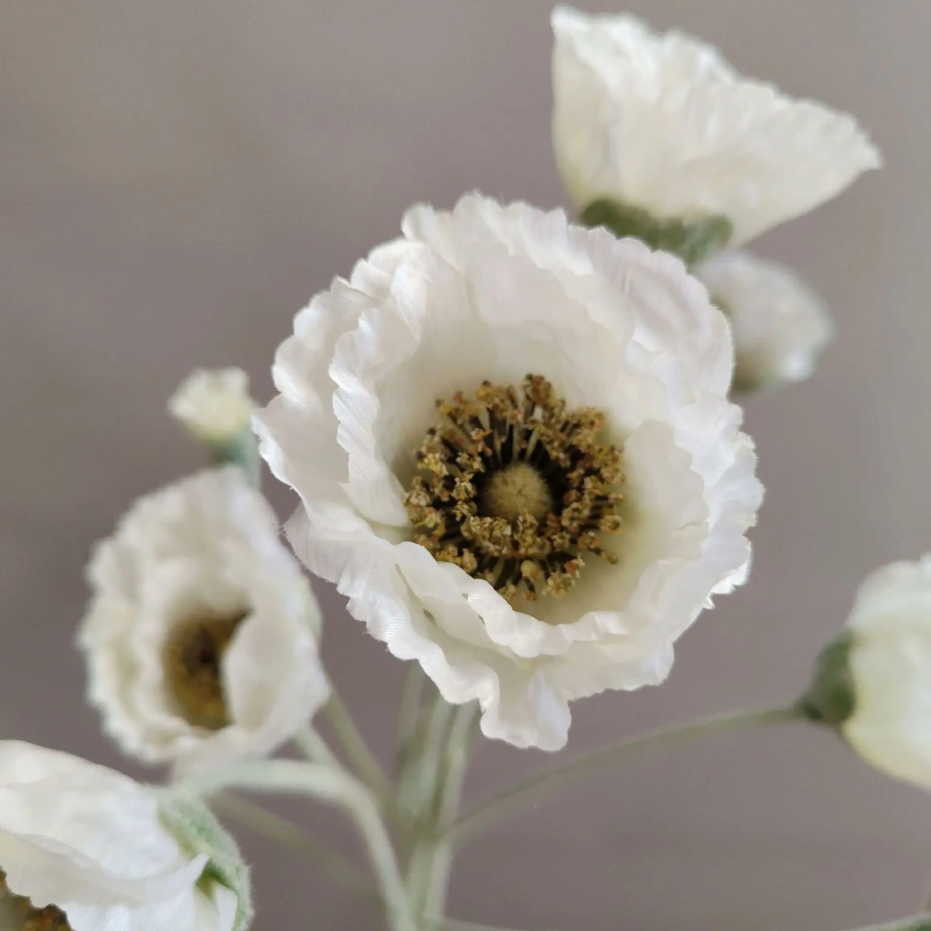 Miniature 3