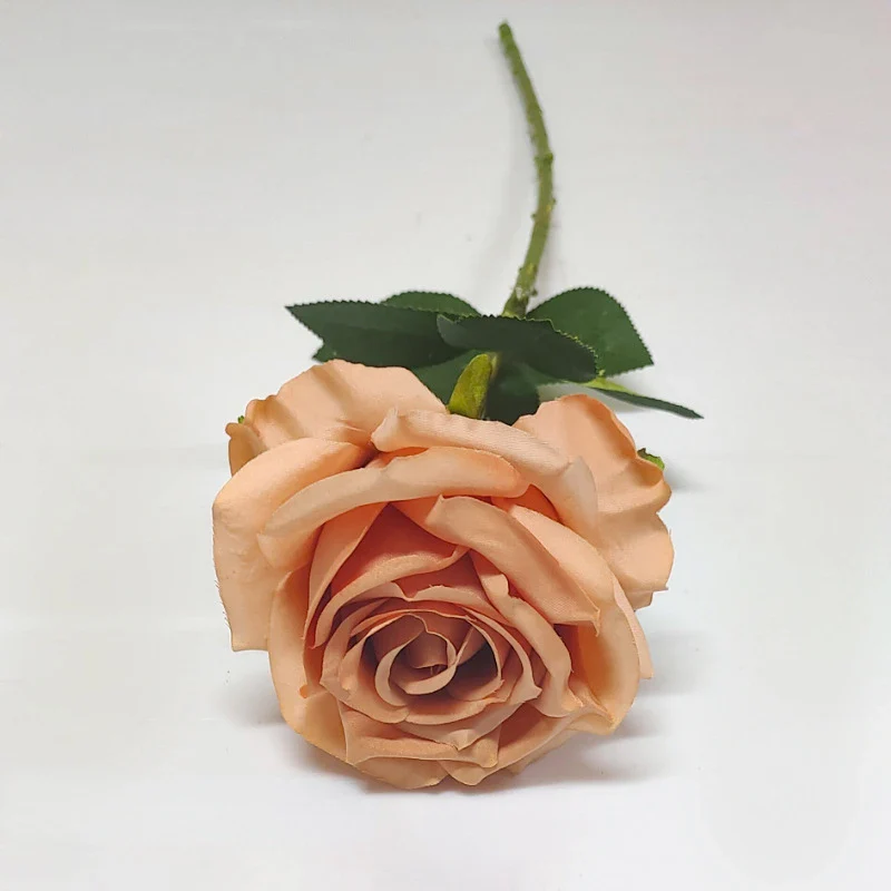 Miniature 14