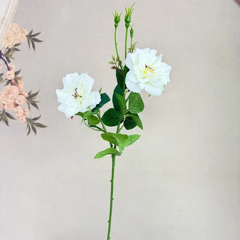 Miniature 6