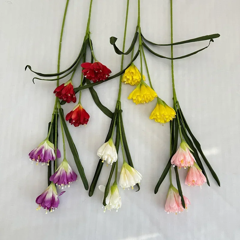 Miniature 5