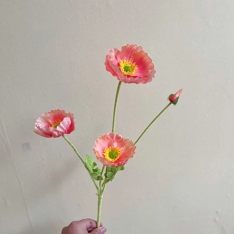 Miniature 6