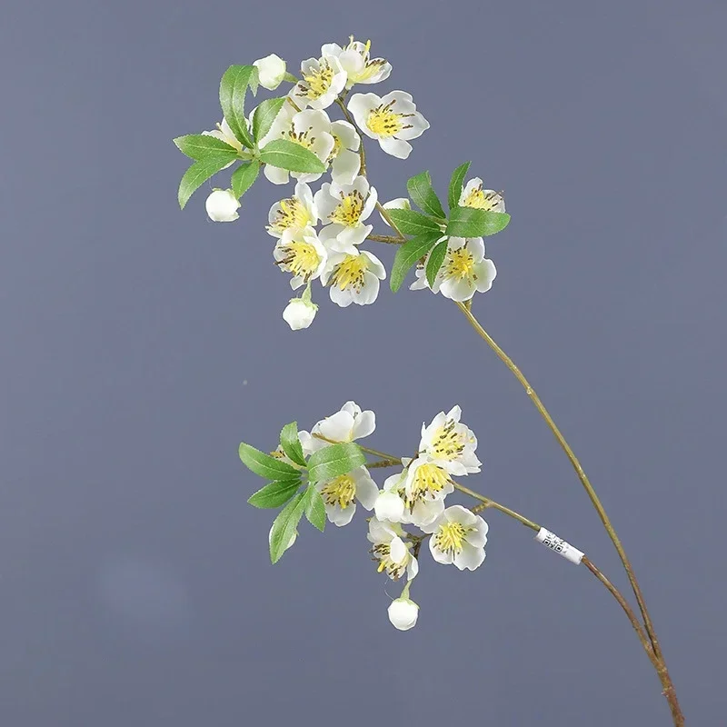 Miniature 7