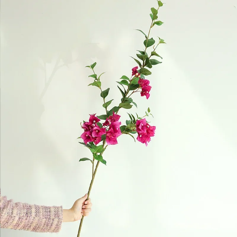 Miniature 5