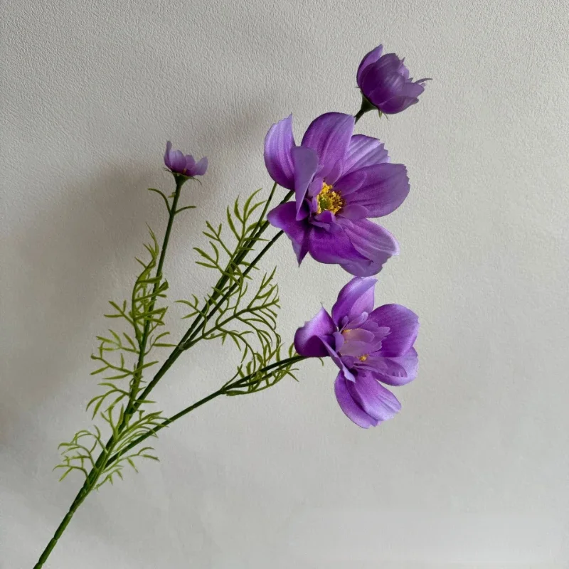 Miniature 6