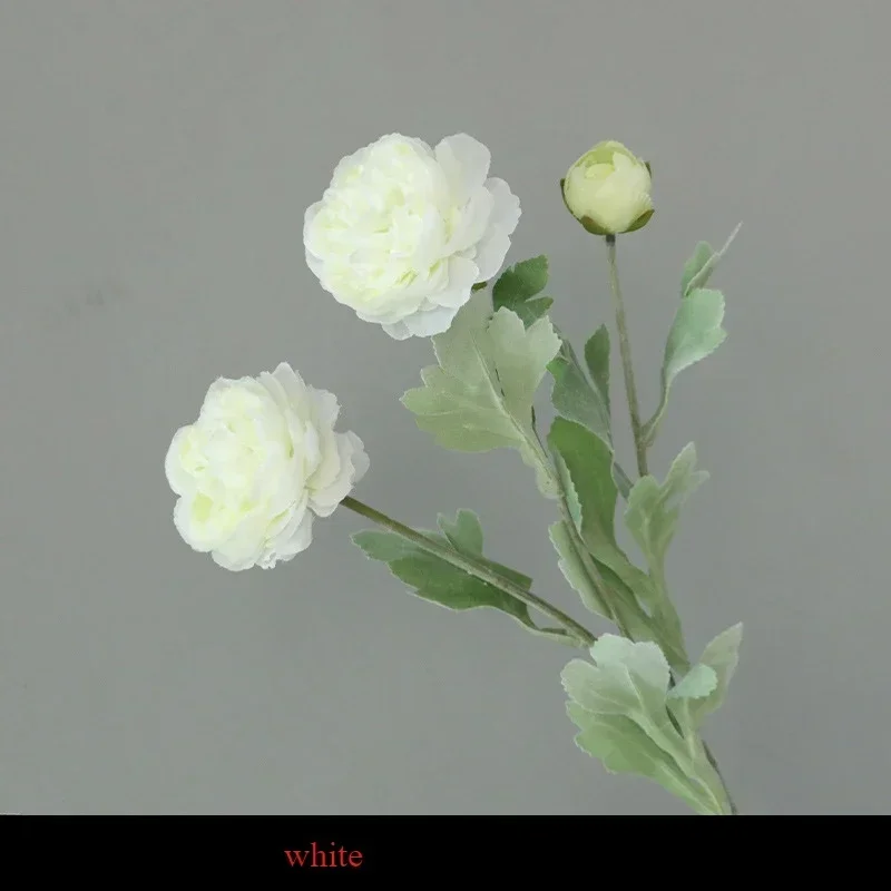 Miniature 12