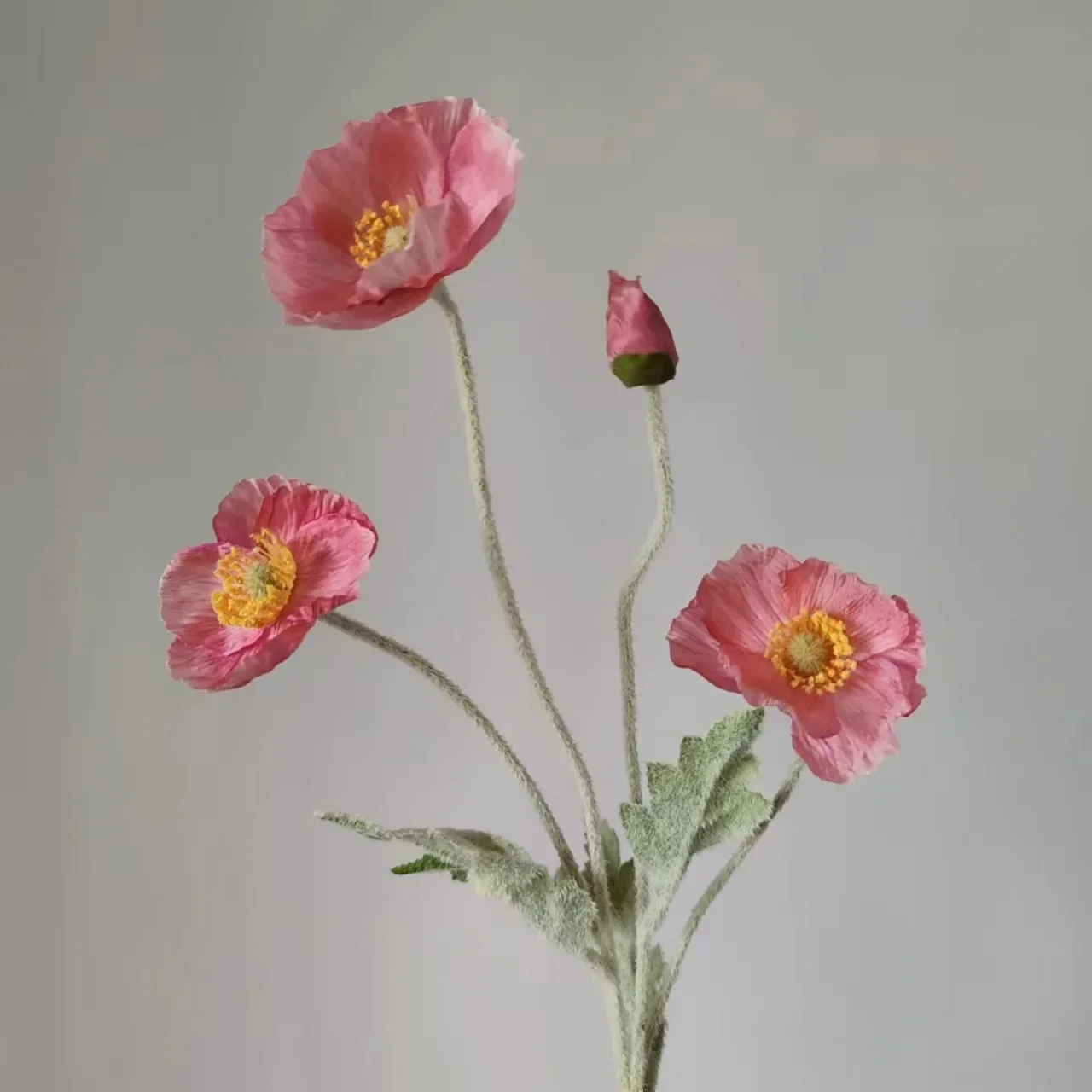 Miniature 11