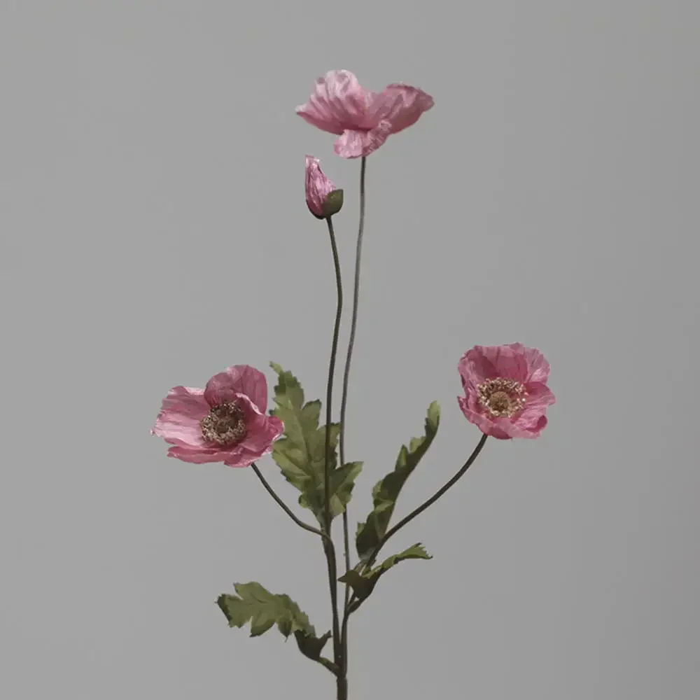 Miniature 19