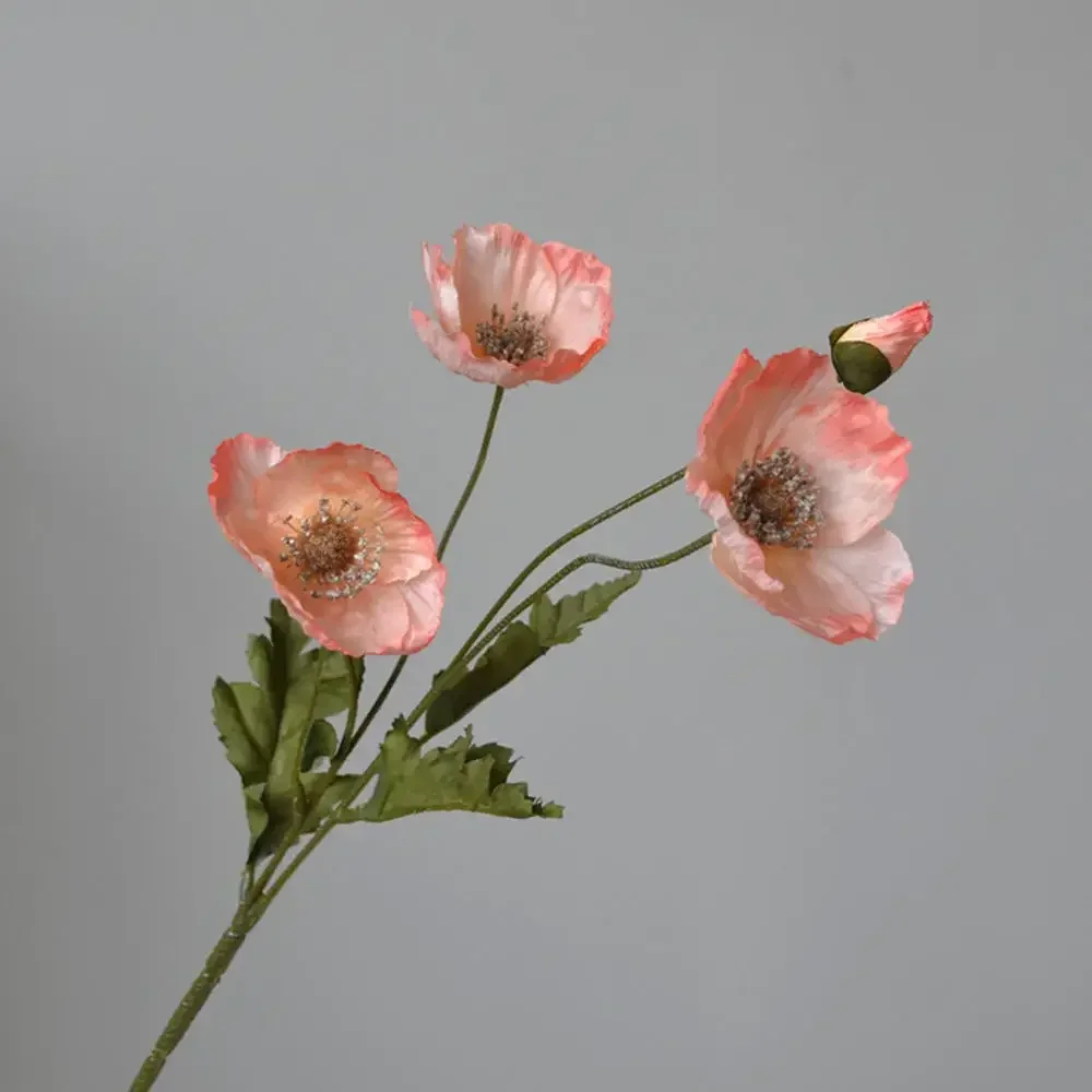 Miniature 22